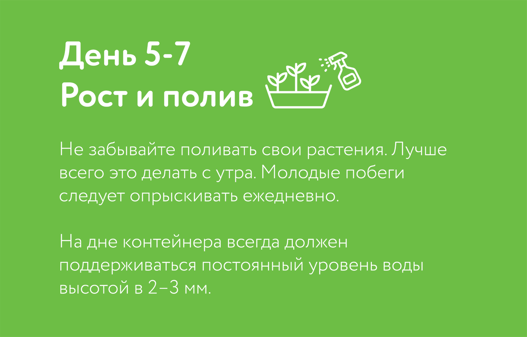 Горох