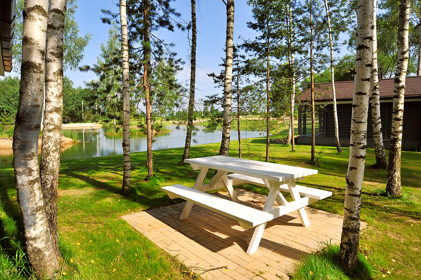 Отдых в завидово