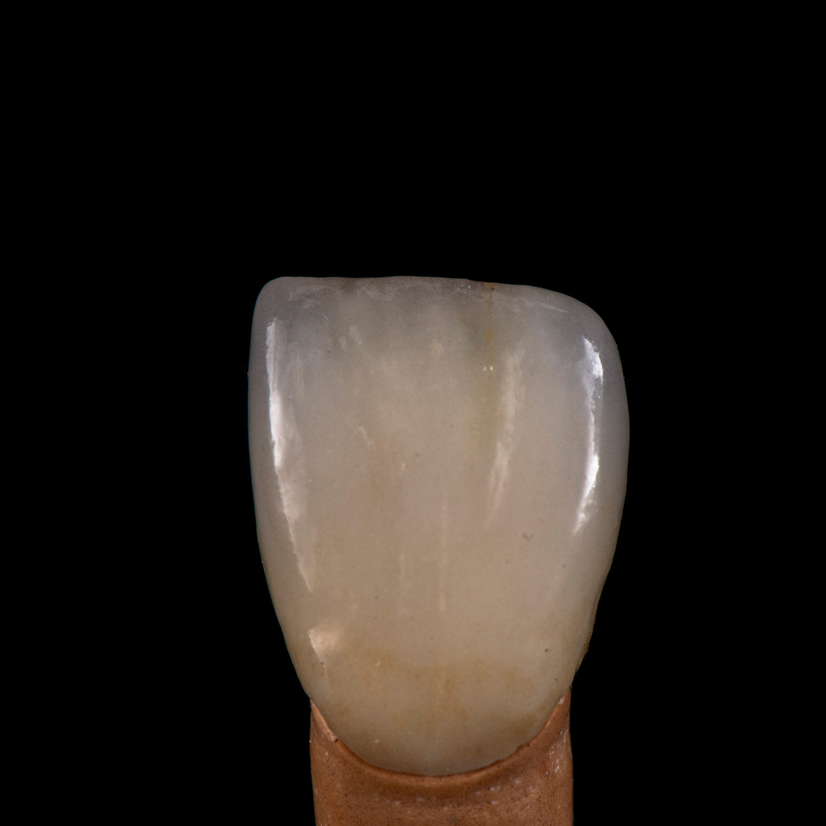 Зуботехническая лаборатория москва