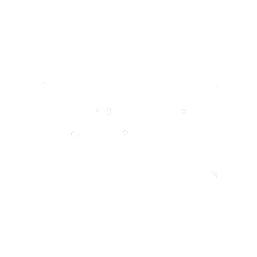 Ориент салют оптом купить