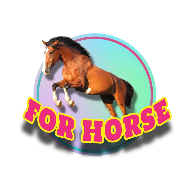 York market - товары для конного спорта