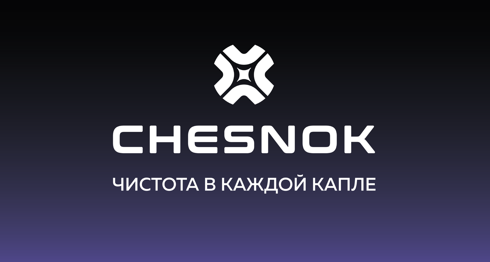 автохимия CHESNOK