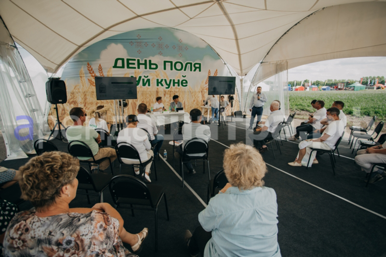 День Поля в Чувашии 2021 в Цивильске, фото&nbsp;3