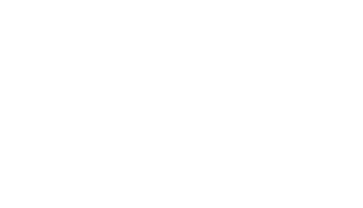 Энтузиаст