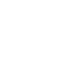 icon linkedin