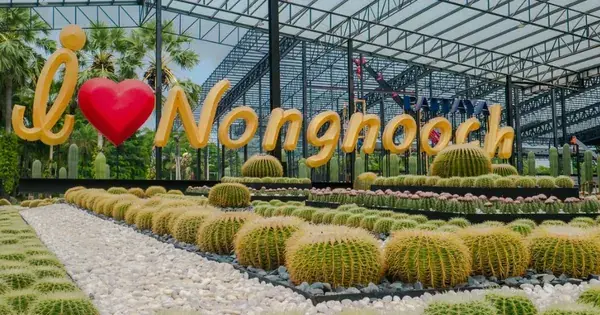 Клумба круглых кактусов и надпись I love Nongnooch у павильона