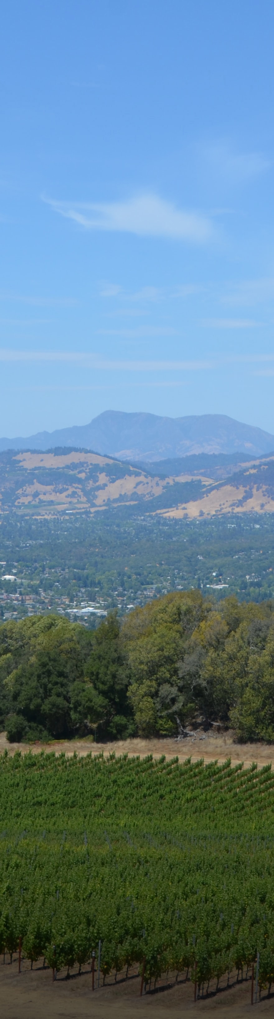 Fuse HVAC & Appliance Repair Santa Rosa, CA