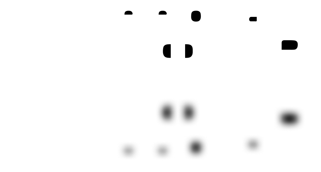 цифровая типография с нуля