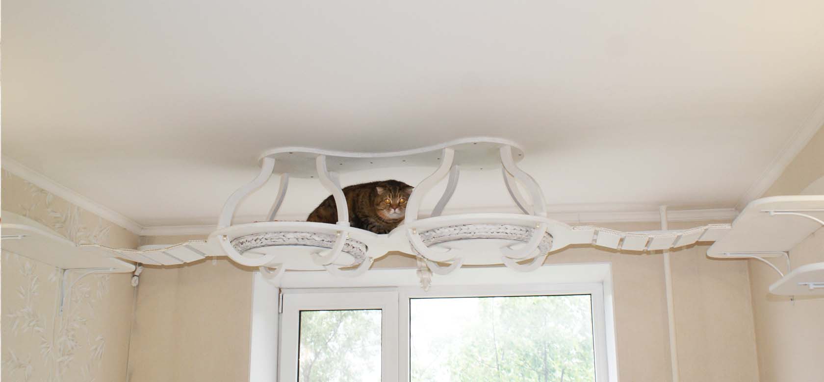 Купить кошачий домик с когтеточкой или когтеточку с домиком для кошек - означает не дать котам той свободы