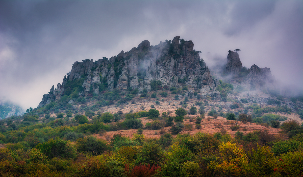 Демерджи лучистое