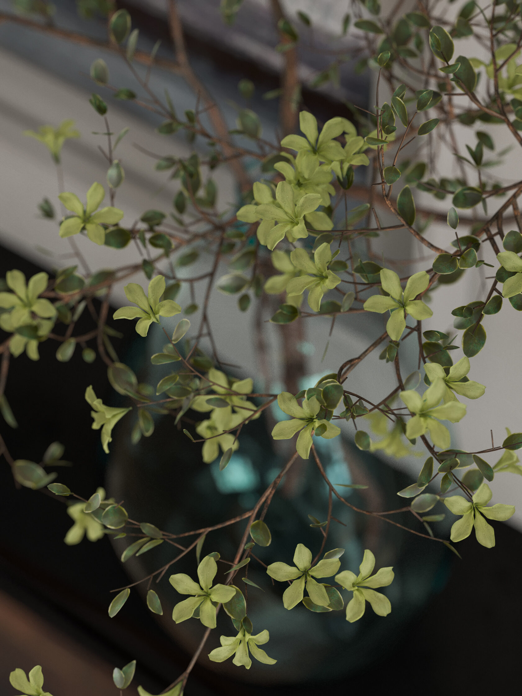 Ближний ракурс на ветки