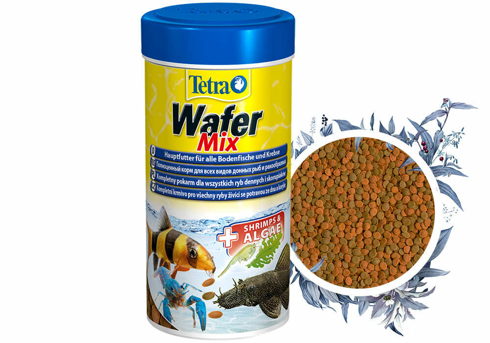 Корм - для Сомиков