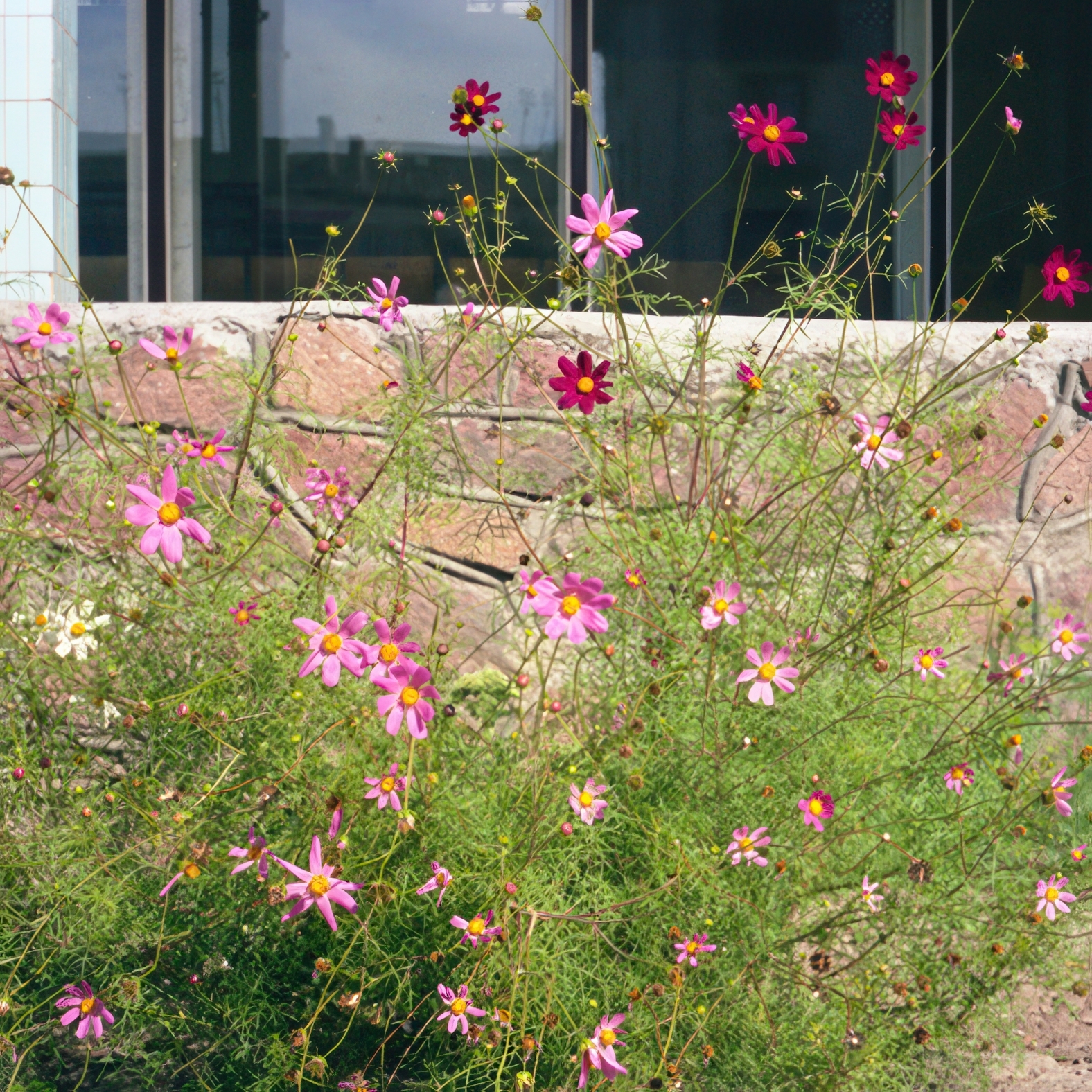 Филипп Эрбе: Зроблена ў Беларусі | Made in Belarus.