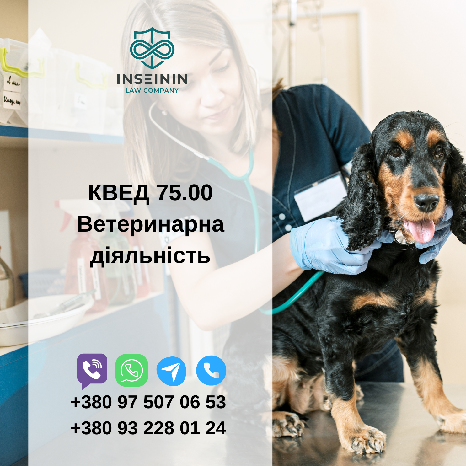 КВЕД 75.00 Ветеринарна діяльність