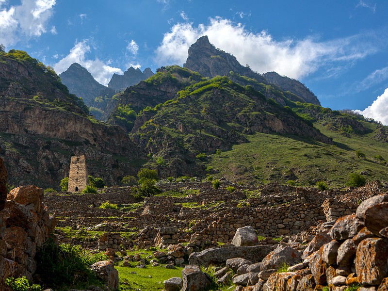 Жұлдыздар есекке кіріп кетеді Саяжайдағы жалаңаш әйелдің эротикалық фотосы