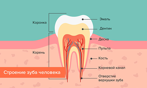 9 способов снять повышенную чувствительность зубов