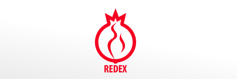 Логотип Redex — яркий гранат с женским шармом!