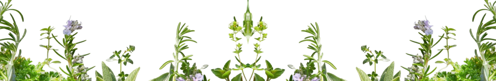 трава степная