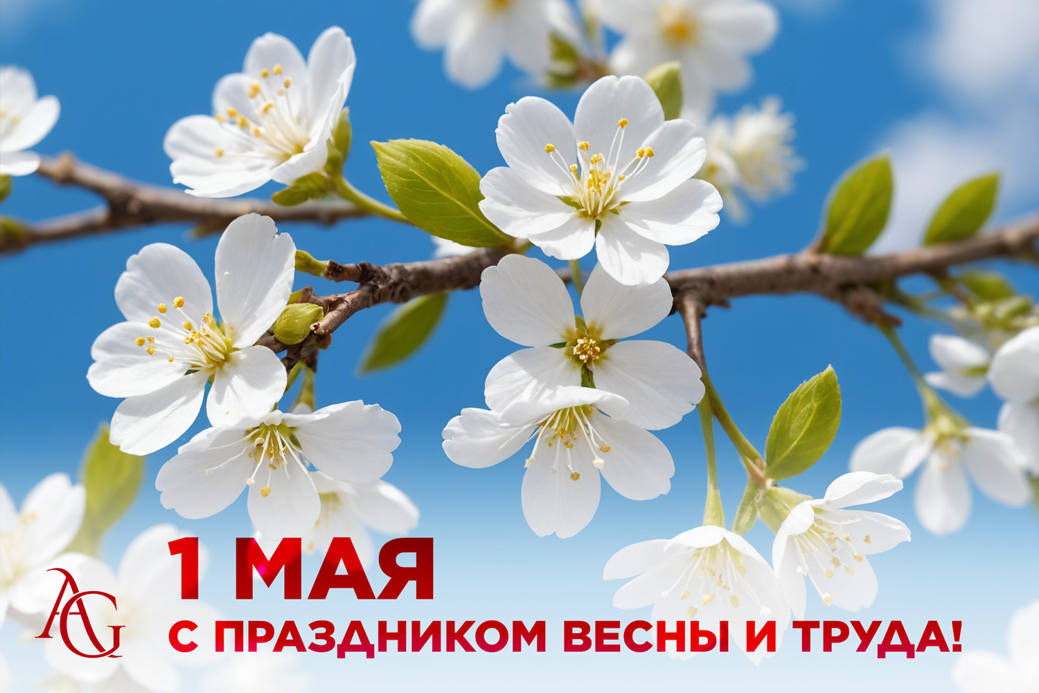 адвокат гаврилов одинцово юридические услуги консультация юрист юридическая помощь майские праздники первомай день труда день победы