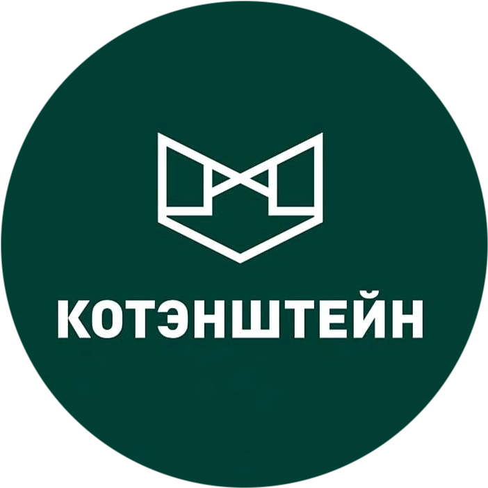 Научная Студия КотЭнштейн