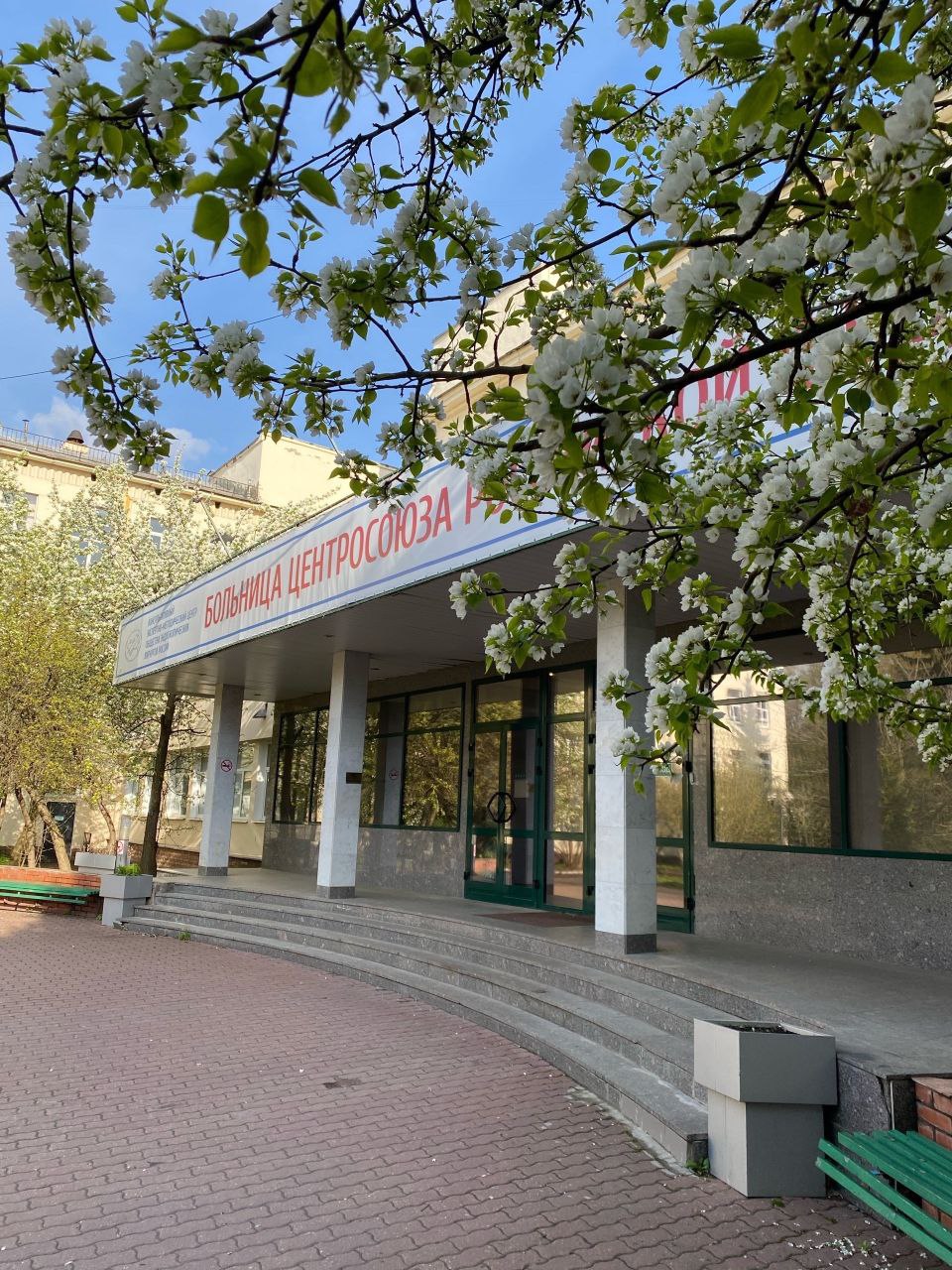 медицинские стажировки