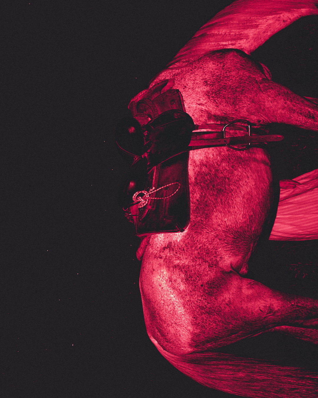 Максим Тараканов, Maxim tarakanov, maxim tarakanoph, photographer, photo, beauty, fashion, portrait, still life, commercial, фотограф, фотосъёмка, sorelle, Sergey soroka on course, tsvetnoy photo campaign, универмаг цветной, zinia agency talent