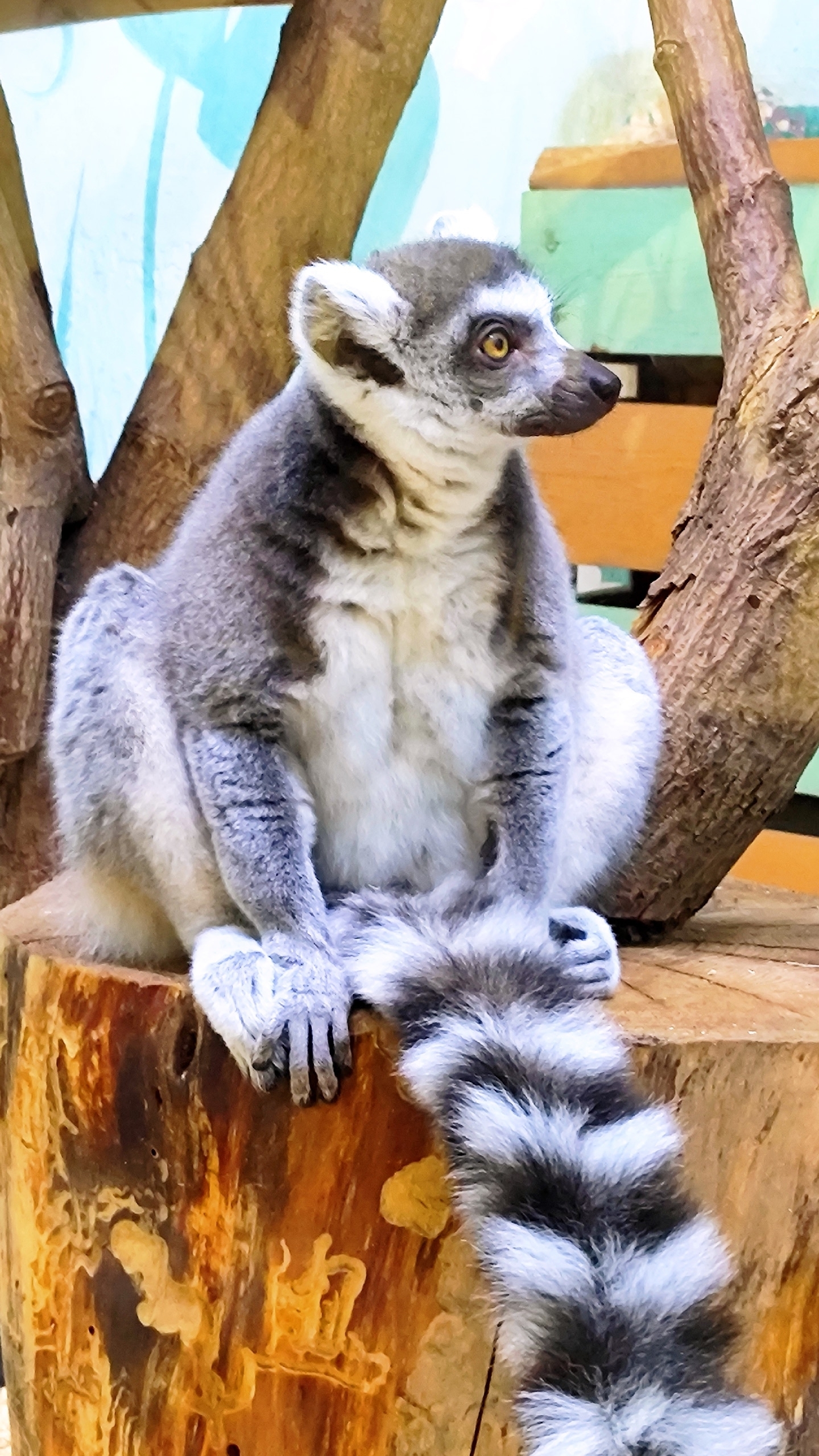 Океанариум Пенза