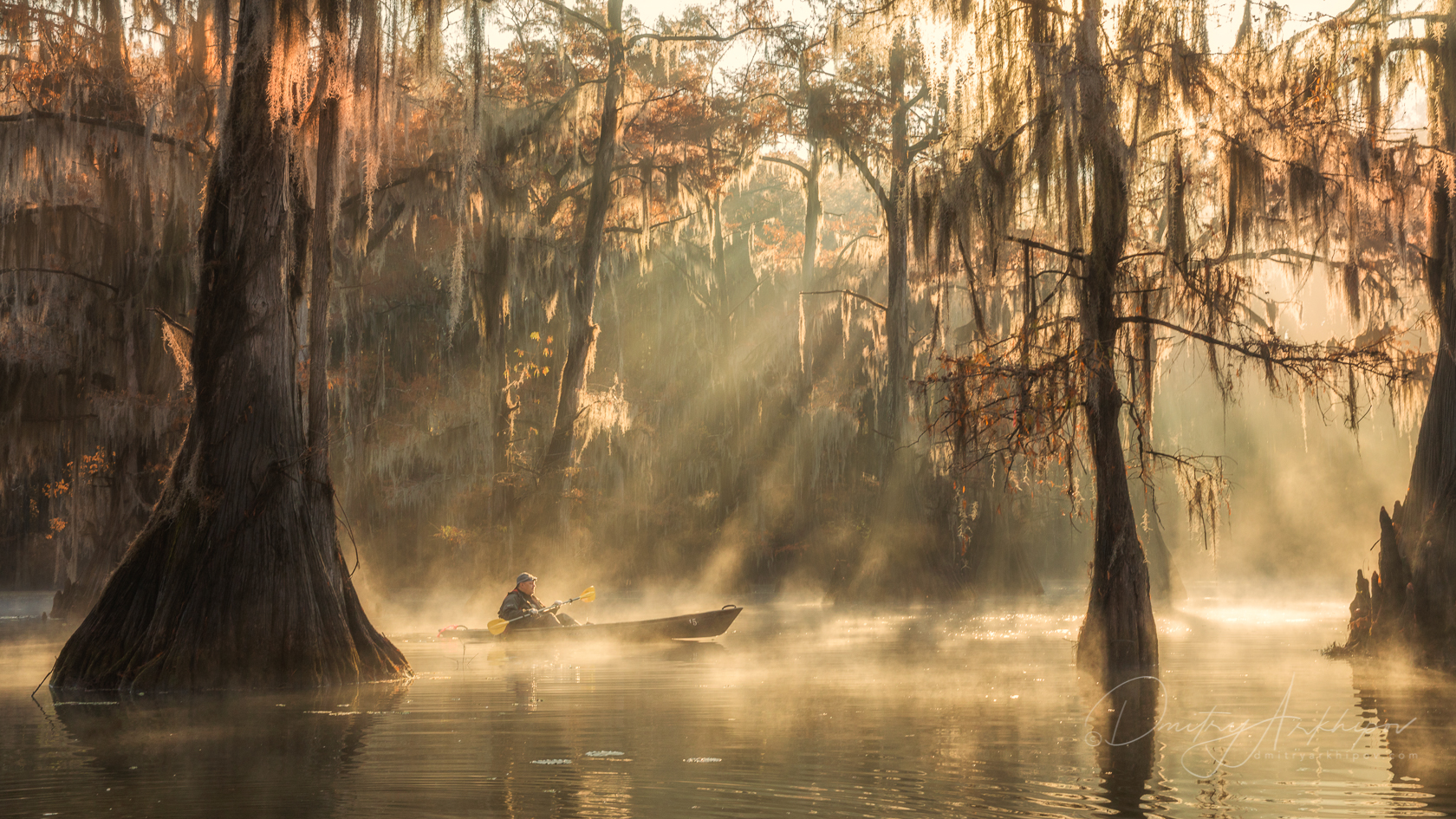 Фотоэкспедиция по Кипарисовым болотам Луизианы и Техаса, Cypress Swamps под...
