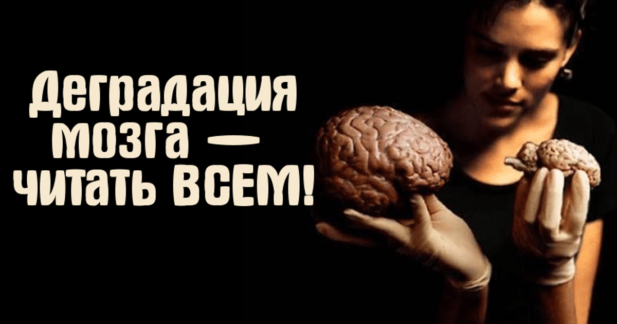 Жизнь мозга читать. Мозг деградирует. Мозг деградирующего человека. Деградация мозга картинки. Признаки деградации мозга.