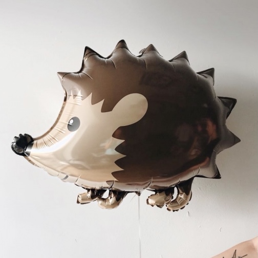 Лесной ёжик