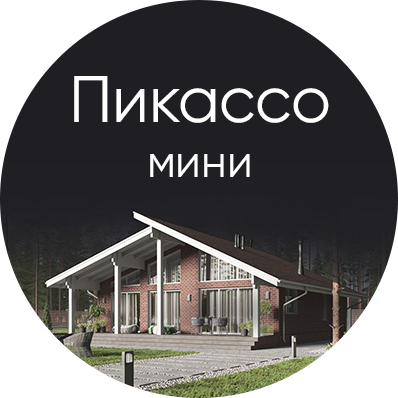 Проект Пикассо мини