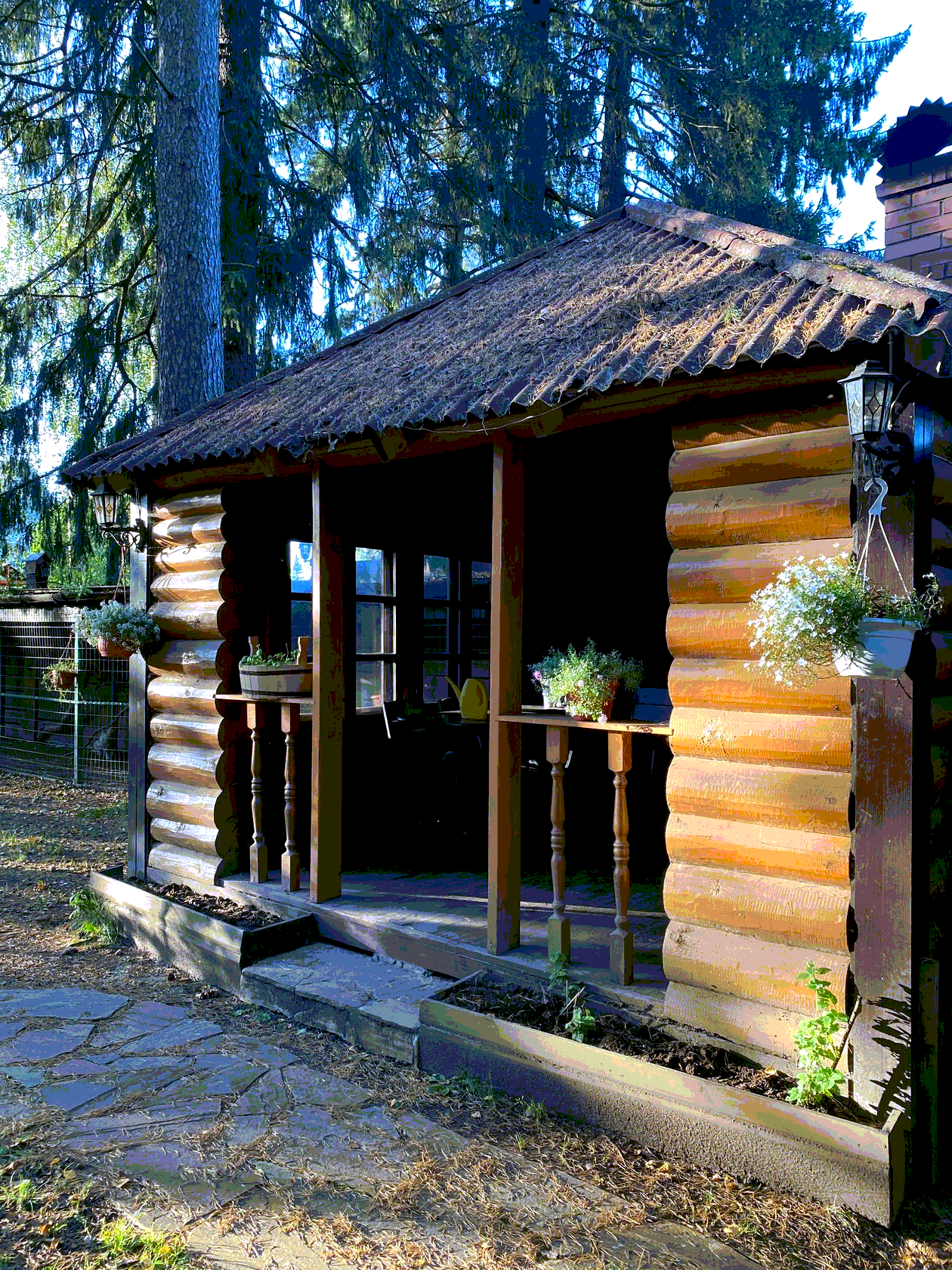 ЛЕСНОЙ — фото 5