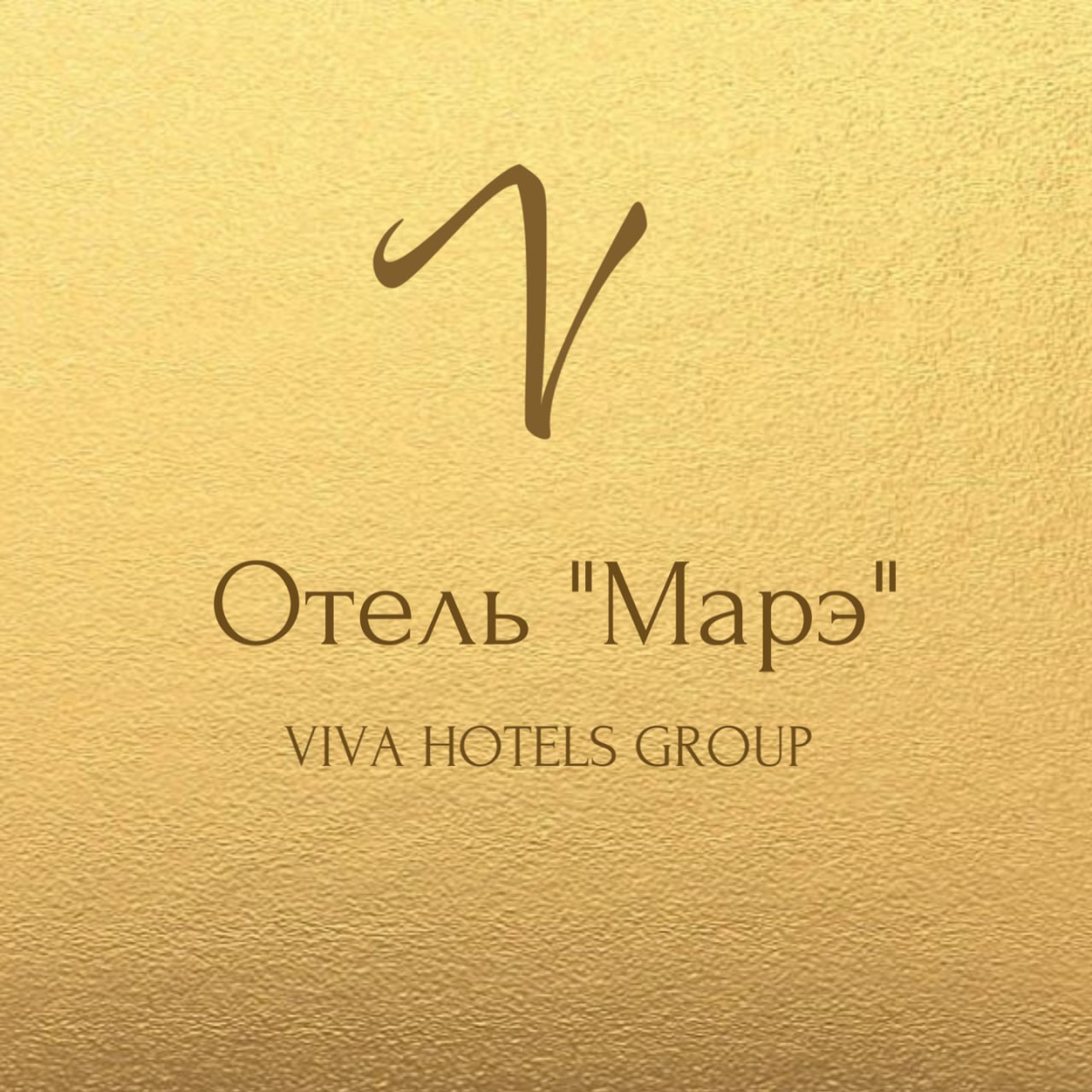 VIVA HOTELS GROUP