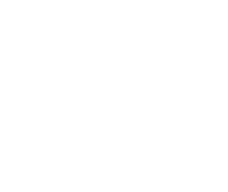 Логотип Локопленет фото