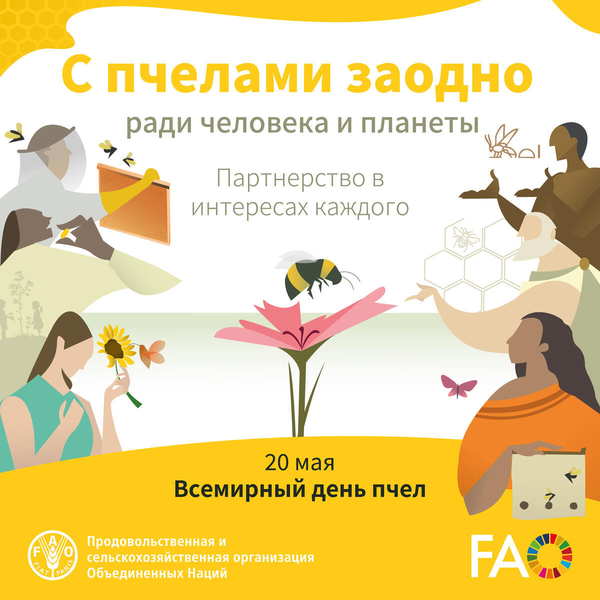апипульс, цифровой улей, пасечные весы, медовая карта россии, роение, начинающий пчеловод