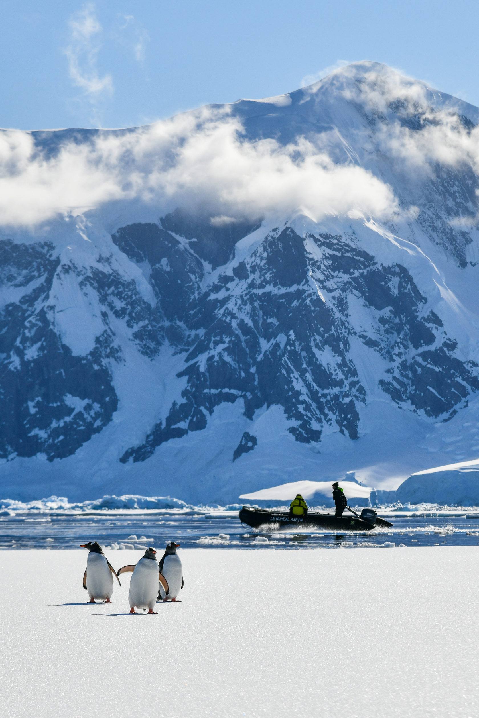 Антарктида путешествие цена. Гора Джексон Антарктида. Путешествие в Антарктиду. Антарктида туризм. Туристы в Антарктиде.