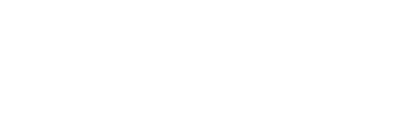 Ledentsova school