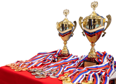 Новости федерации армейского рукопашного боя кубок награды