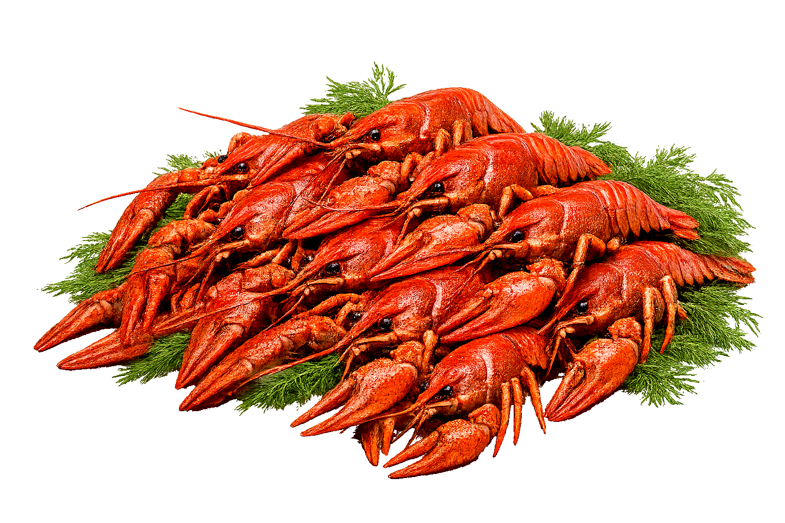 Варёные раки
