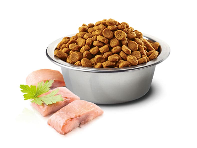 корм «Фармина» с сельдью