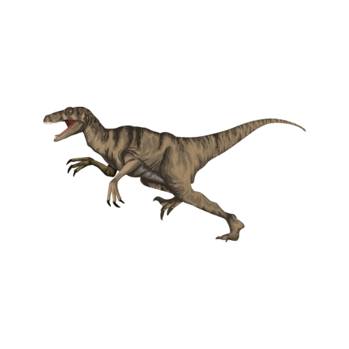 Velociraptor