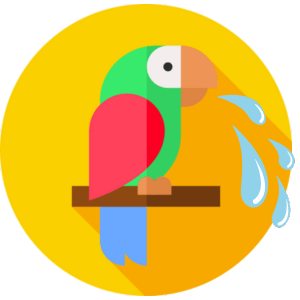 рвота у попугая диагностика симптомы лечение орнитолог консультация