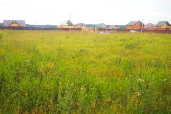 Загорье владимирская область. Участок в деревне. Участок деревня старое. Участок деревня старое. Партнер, деревня старое аннино.