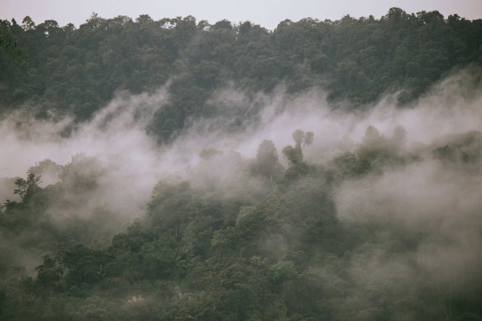 ecuador climate, climate in ecuador, ecuador climate change, climate change in ecuador, climate in ecuador year round