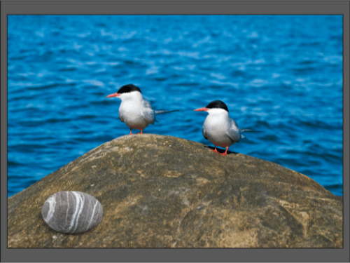 Две чайки сидят на камне у моря, рядом лежит круглый камень, похожий на яйцо.
