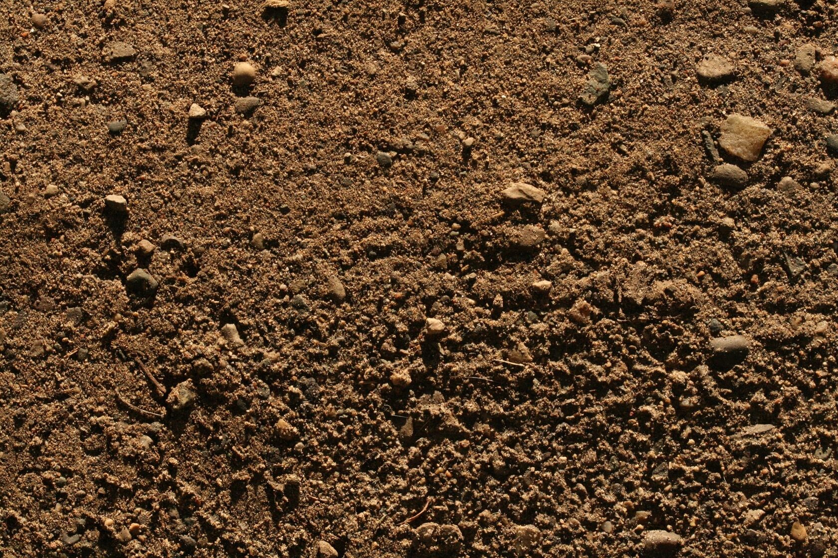 Грунт Ozon