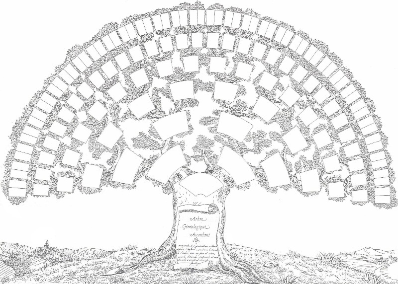 Делаем генеалогическое дерево своей семьи своими руками. Готовые шаблоны.