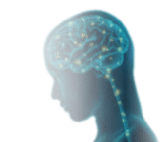 МОЕ ЗДОРОВЬЕ