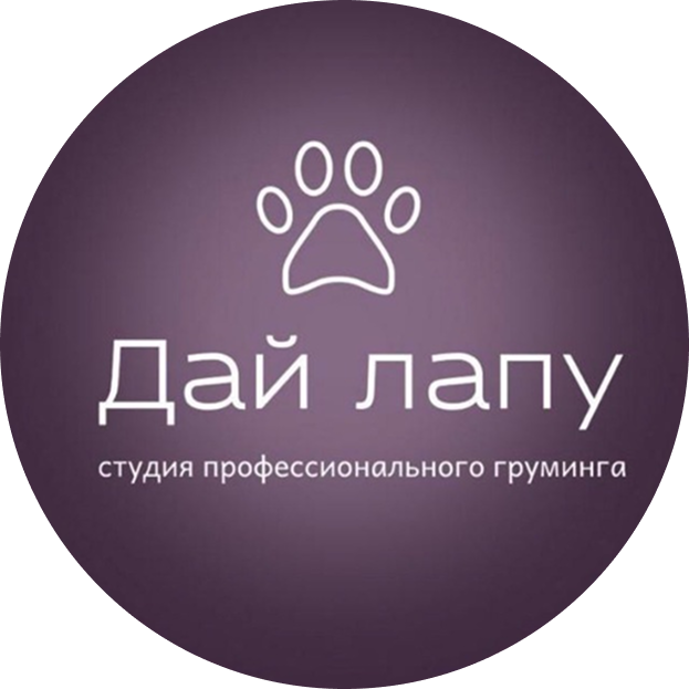 Дай лапу