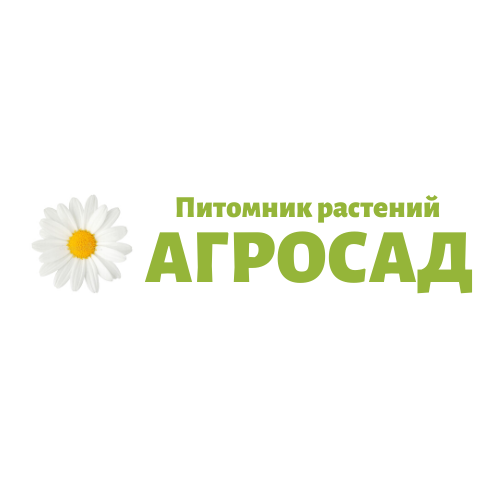 Прайс-листы и цены | Оптовый питомник растений АгроСАД